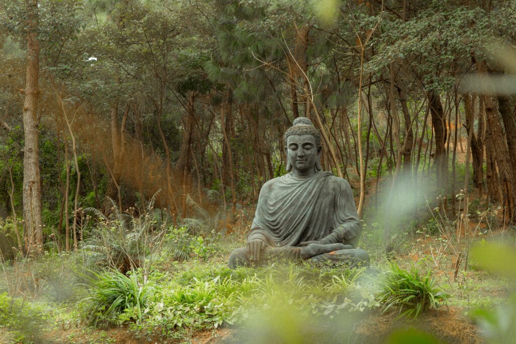 Calm statue of Buddha meditating in a tranquil forest with lush greenery.